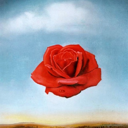 "Rosa Meditativa" di Dalì